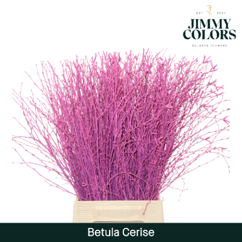 Birch Dyed Cerise 60cm