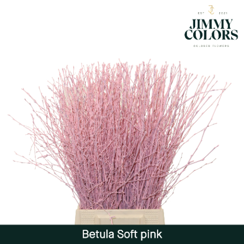 Birch Dyed Light Pink 60cm