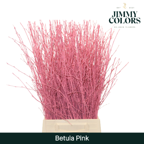 Birch Dyed Pink 60cm