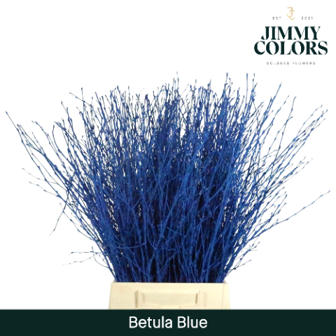 Birch Dyed Blue 60cm